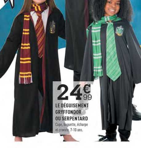 Le Déguisement Gryffondor Ou Serpentard