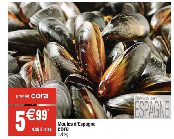 Moules D'espagne Cora