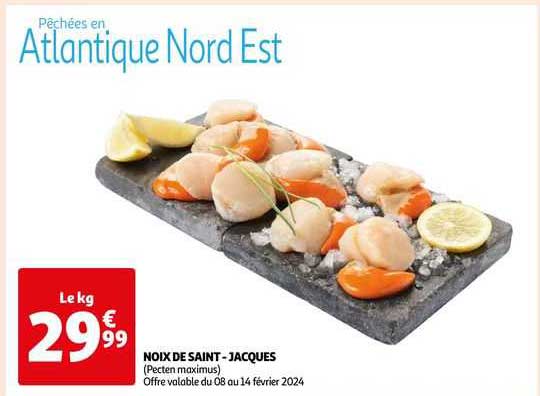 noix de saint-jacques