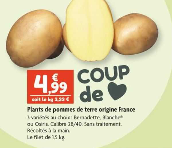 plants de pommes de terre origine france