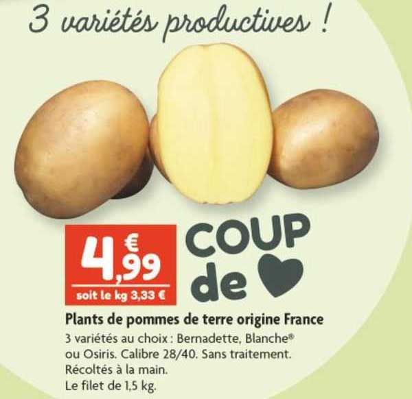 plants de pommes de terre origine france