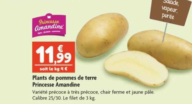 plants de pommes de terre princesse amandine