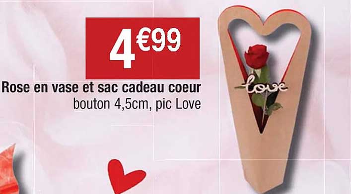 Rose En Vase Et Sac Cadeau Coeur