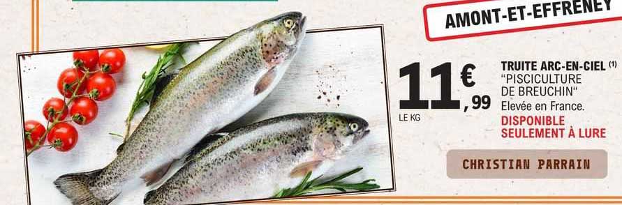 truite arc-en-ciel "pisciculture de breuchin"