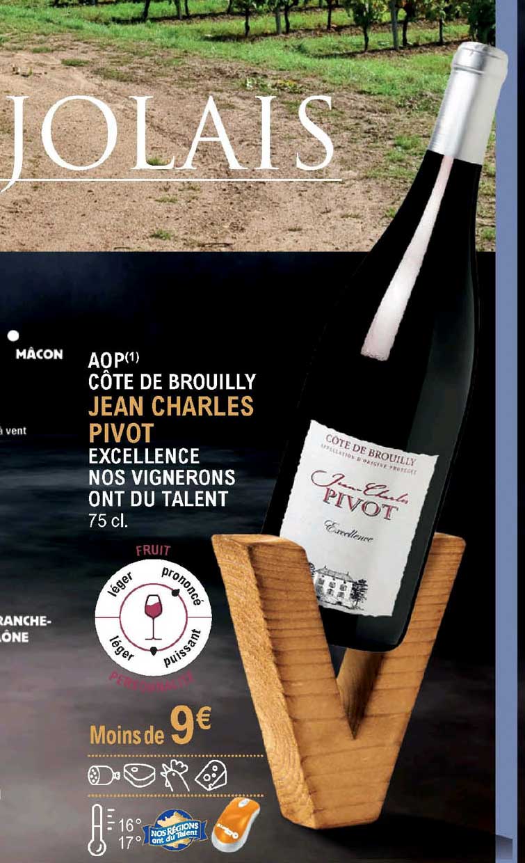 aop côte de brouilly jean charles pivot
