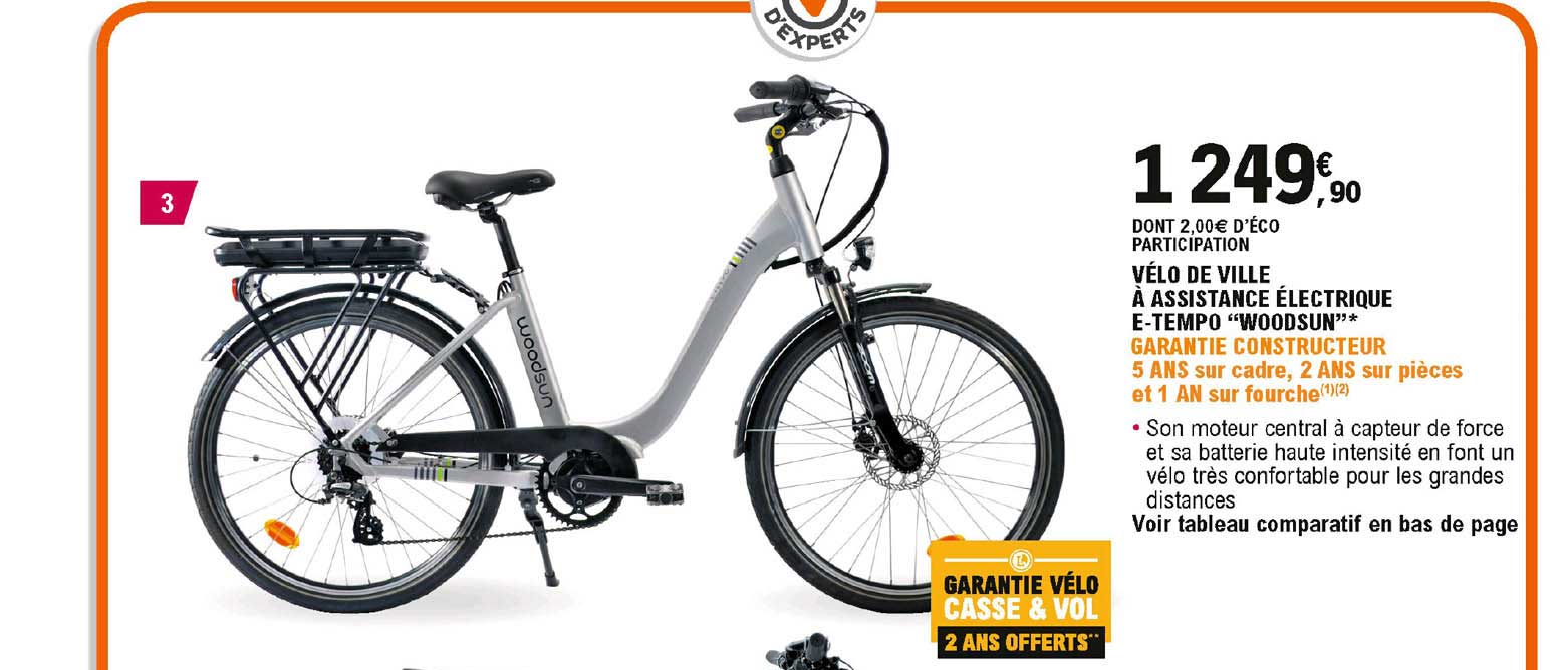 vélo de ville à assistance électrique e-tempo "woodsun"