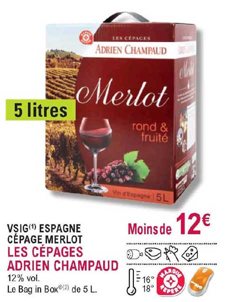 vsig espagne cépage merlot les cépages adrien champaud