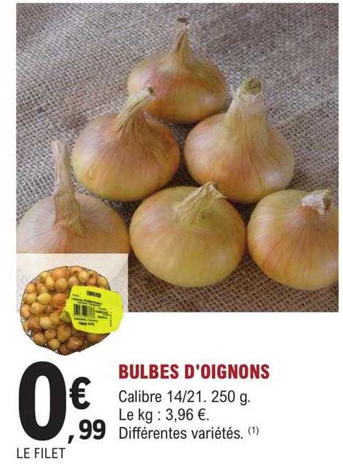 Bulbes D'oignons