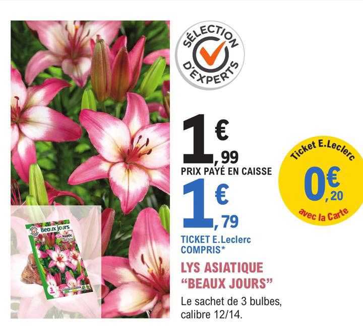 lys asiatique "beaux jours"