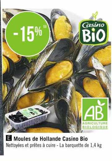 Moules De Hollande Casino Bio