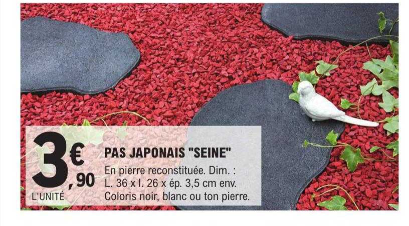 pas japonais "seine"