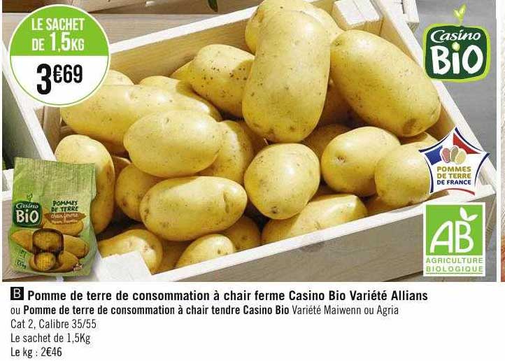 pomme de terre de consommation à chair ferme casino bio variété allians ou pomme de terre de consommation à chair tendre casino bio