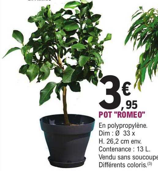 pot "romeo"
