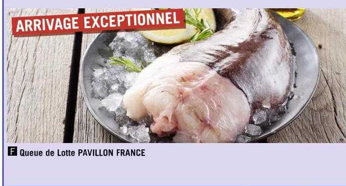 queue de lotte pavillon france