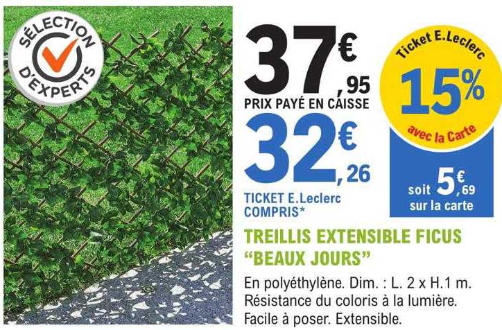 treillis extensible ficus "beaux jours"