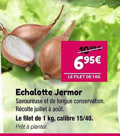 échalotte jermor