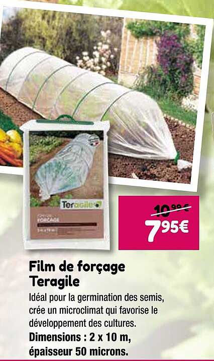 film de forçage teragile