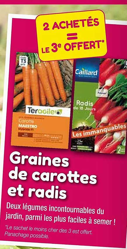 graines de carottes et radis caillard