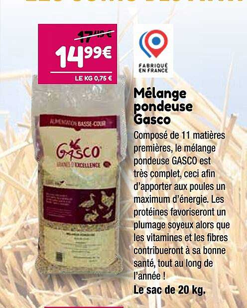 mélange pondeuse gasco
