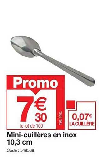 mini-cuillères en inox 10,3 cm