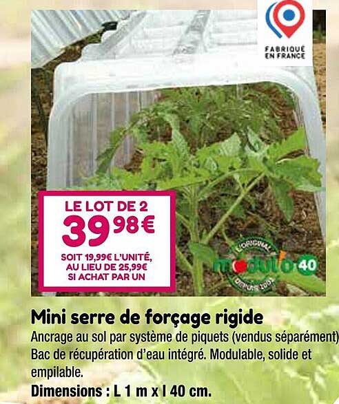mini serre de forçage rigide