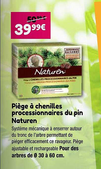 piège à chenilles processionnaires du pin naturen