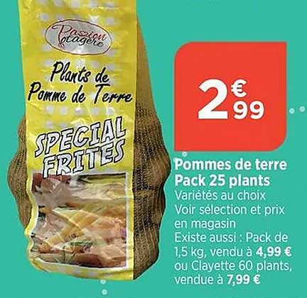 pommes de terre pack 25 plants