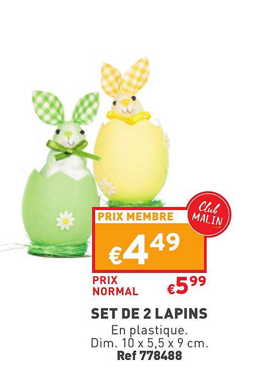 Set De 2 Lapins