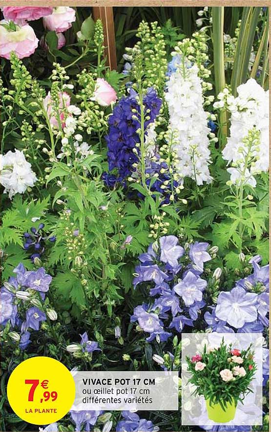 vivace pot 17 cm