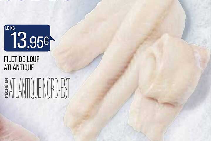 Filet De Loup Atlantique