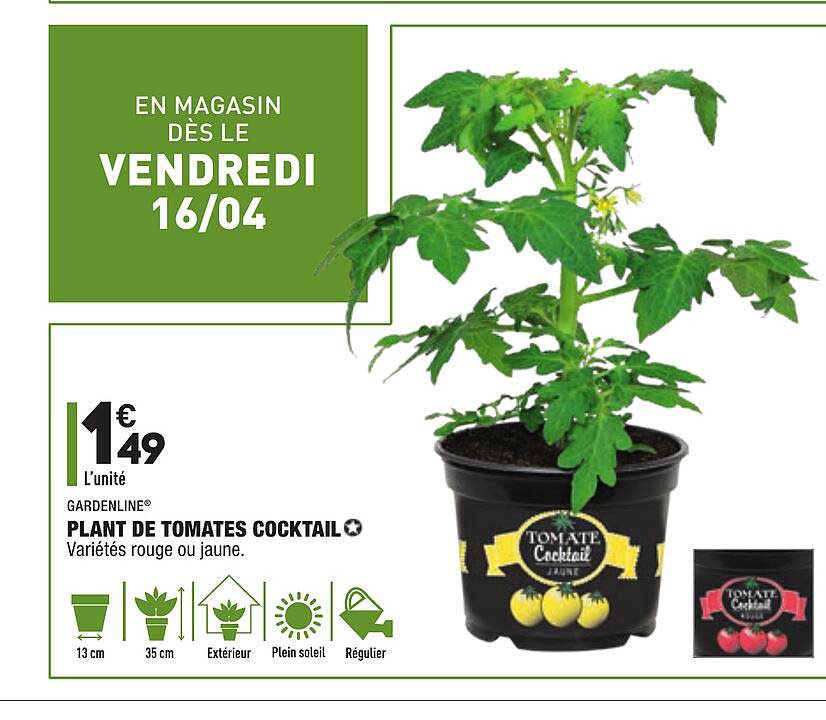 gardenline plant de tomates cocktail