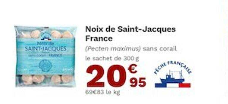 noix de saint-jacques france