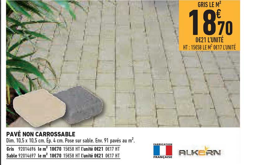 pavé non carrossable