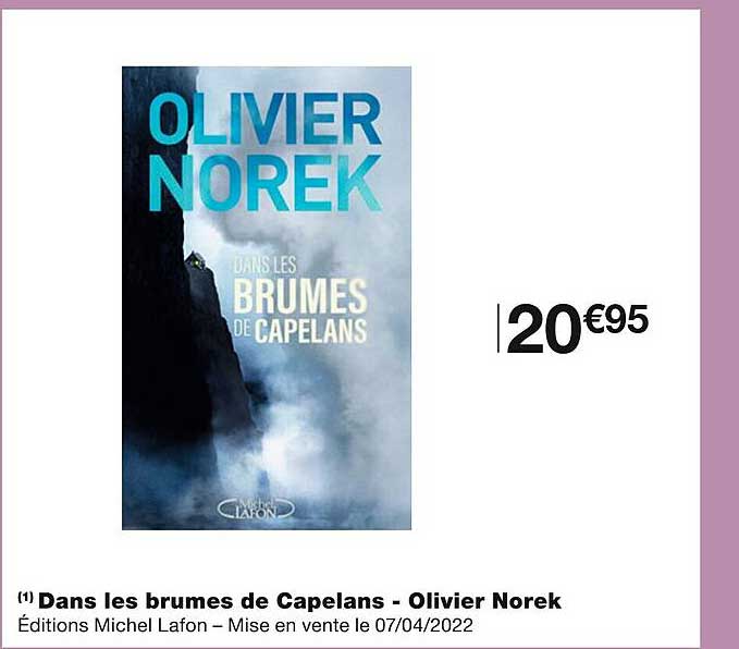 dans les brumes de capelans - olivier norek