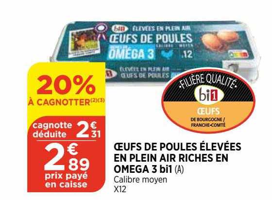 oeufs de poules élevées en plein air riches en oméga 3 bi1
