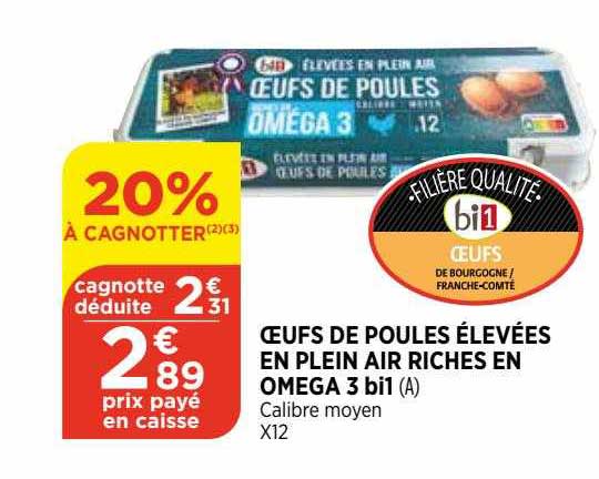 oeufs de poules élevées en plein air riches en oméga 3 bi1