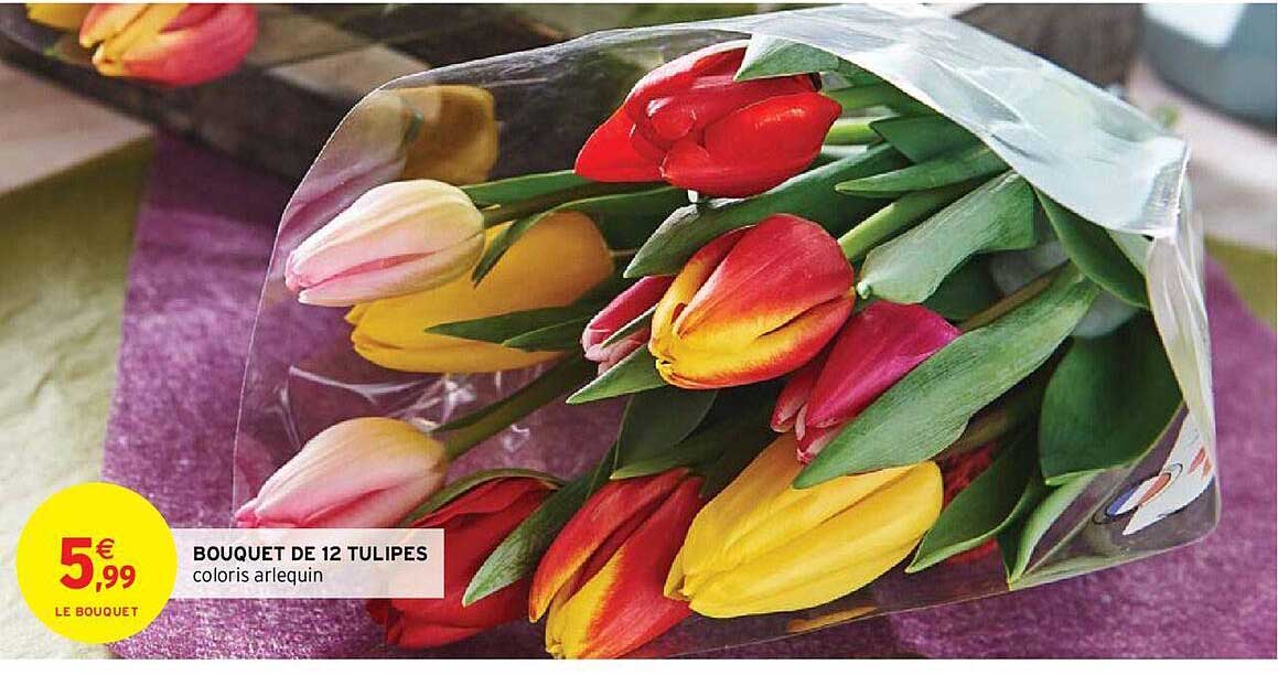 Bouquet De 12 Tulipes