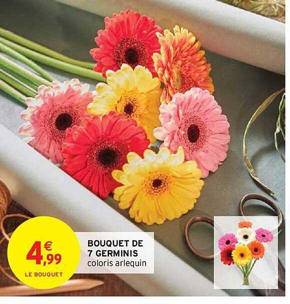 bouquet de 7 germinis