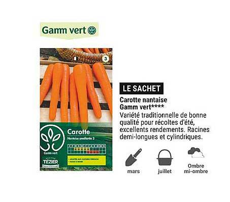 carotte nantaise gamm vert