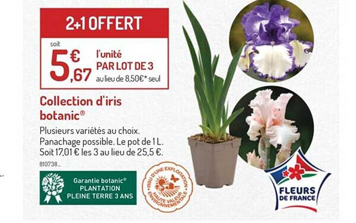 Collection D'iris Botanic