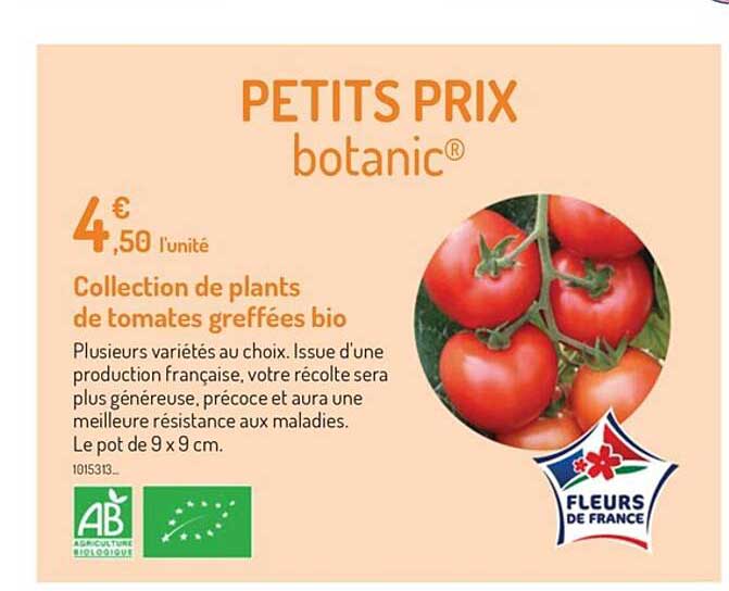 collection de plants de tomates greffées bio