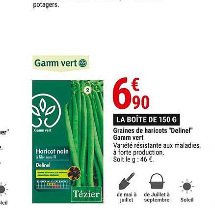 graines de haricots "delinel" gamm vert