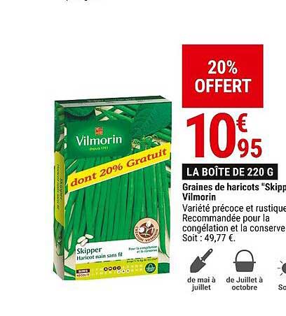 graines de haricots "skipper" vilmorin