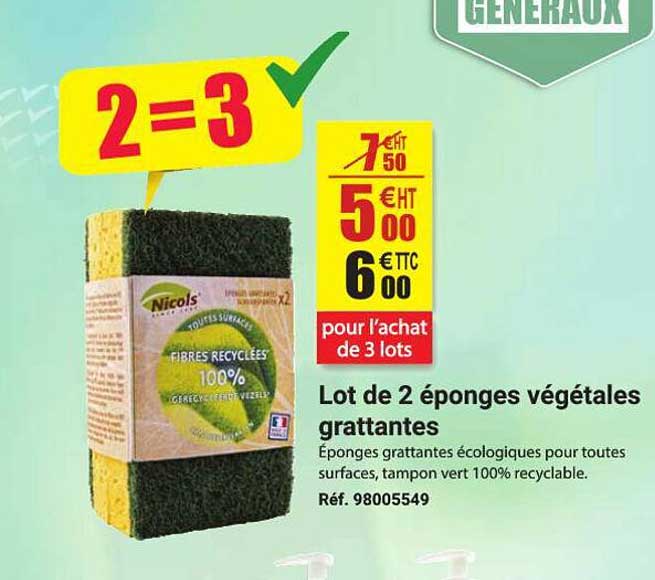 lot de 2 éponges végétales grattantes nicols