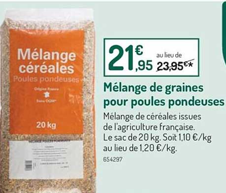 mélange de graines pour poules pondeuses