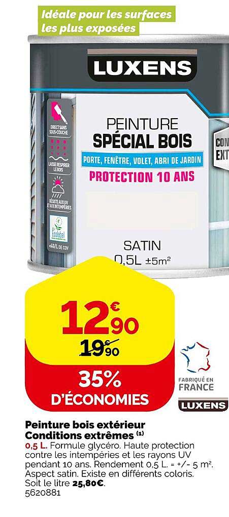 peinture bois extérieur conditions extrêmes luxens