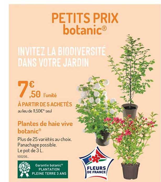 plantes de haie vive botanic