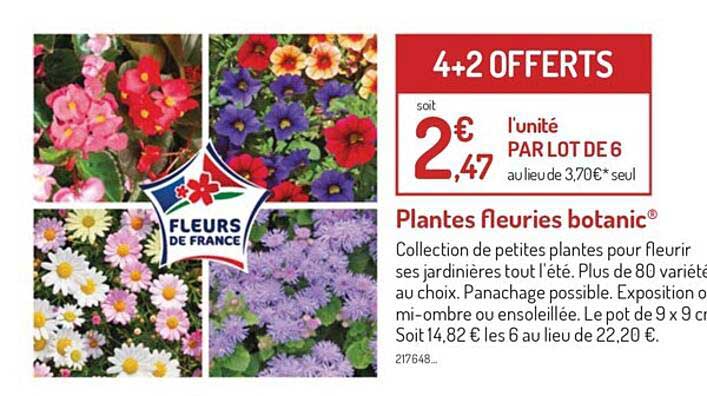 plantes fleuries botanic
