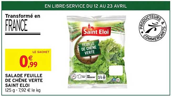 salade feuille de chêne verte saint éloi