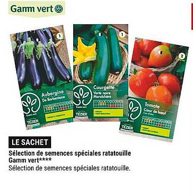 sélection de semences spéciales ratatouille gamm vert